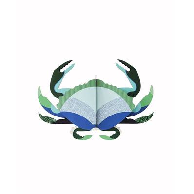 Crabe Aquamarine - Animaux marins