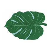 Tapis lavable Monstera 120x160 cm - feuille de monstera verte