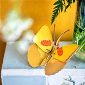 Papillon jaune - Petits insectes