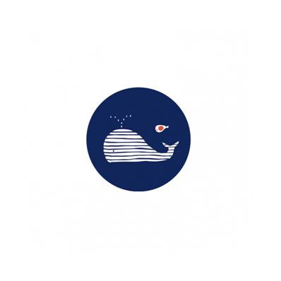 Magnet Baleine rayée