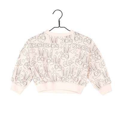 Sweat-shirt Soan - Garenne 12 mois