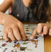Puzzle discovery Les insectes - 500 pièces