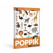 Poster mini discovery en stickers - Brun - La savane