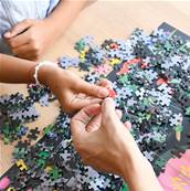 Puzzle discovery Les fleurs - 1000 pièces