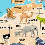 Stick & Quiz Mission animaux - Globe terrestre gonflable