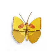 Papillon jaune - Petits insectes