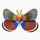 Papillon géant