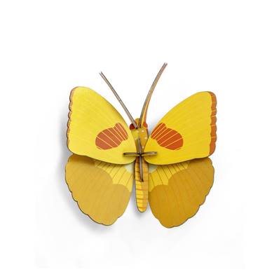 Papillon jaune - Petits insectes