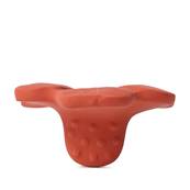 Mini jouet de dentition Chewy - Pop le coquelicot