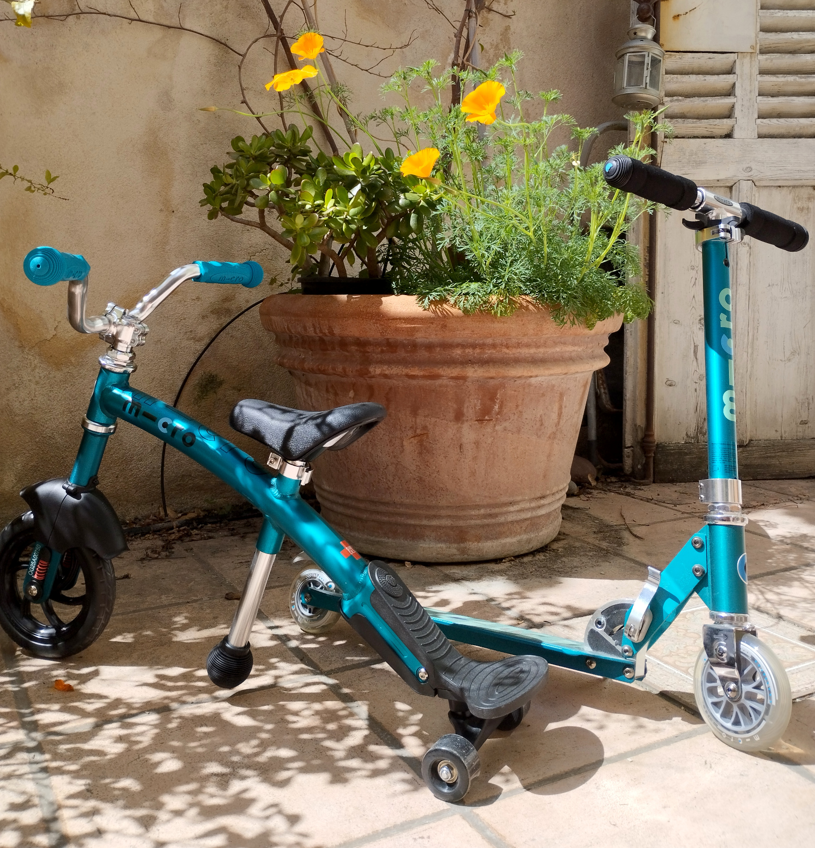 Draisienne volutive et trottinette 2 roues